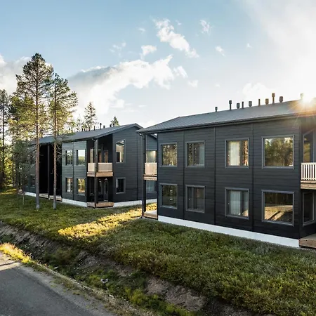 Levin Lyhty Amelia A1 By Hilla *