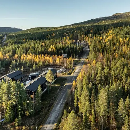 Levin Lyhty Amelia A1 By Hilla * Levi