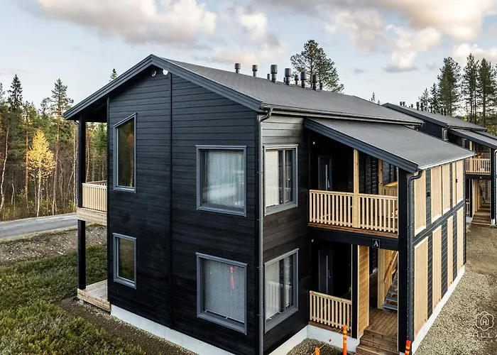 Levin Lyhty Amelia A1 By Hilla *