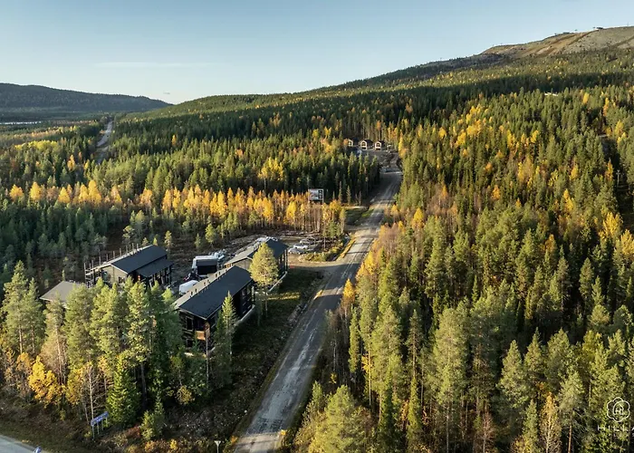 Levin Lyhty Amelia A1 By Hilla * レヴィ